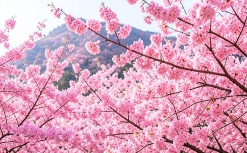 陽泉市廣佳盛貿(mào)易有限公司