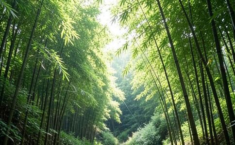 金融系統開發案例