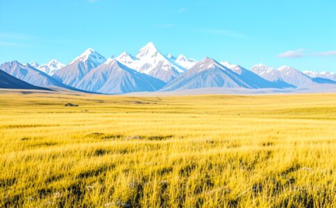 金融系統(tǒng)開發(fā)案例