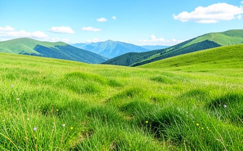 陽泉市廣佳盛貿易有限公司