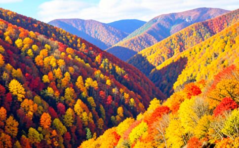 陽泉市廣佳盛貿易有限公司