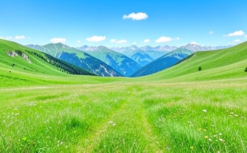 陽泉市廣佳盛貿易有限公司