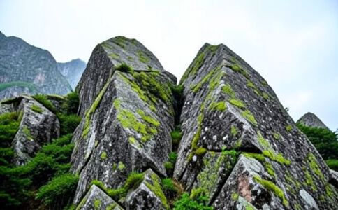 醫療系統集成案例