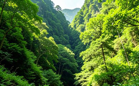 業(yè)務(wù)圖片