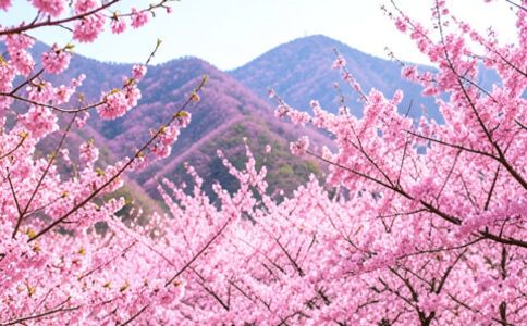 陽泉市廣佳盛貿易有限公司