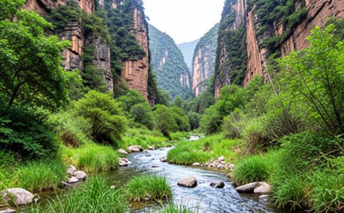 品牌形象設(shè)計(jì)