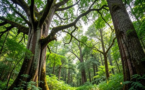 陽(yáng)泉市廣佳盛貿(mào)易有限公司