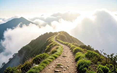 金融系統開發案例