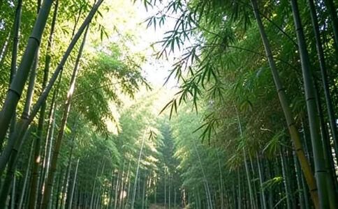 醫療系統集成案例