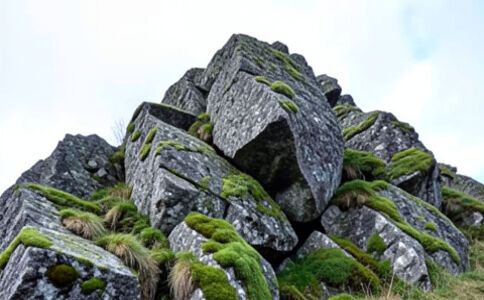 陽泉市廣佳盛貿易有限公司