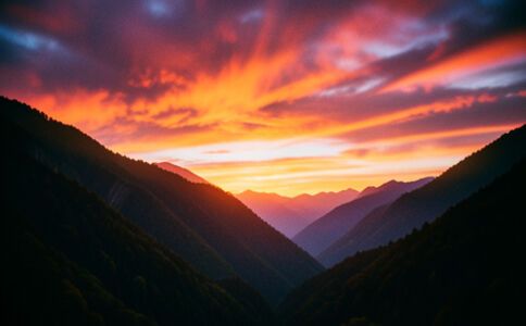 陽泉市廣佳盛貿易有限公司