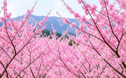 陽泉市廣佳盛貿易有限公司