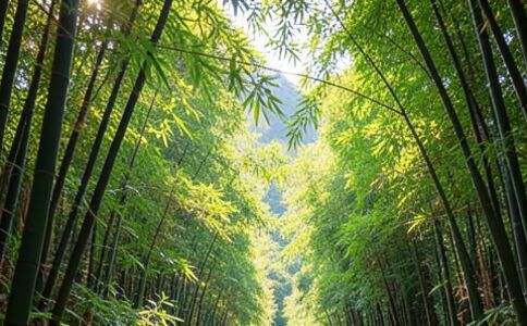 醫(yī)療健康案例