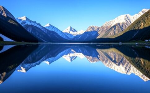 醫(yī)療健康案例