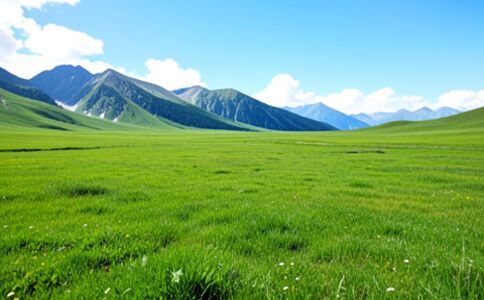 電商平臺升級案例