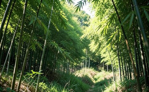 電商平臺升級案例