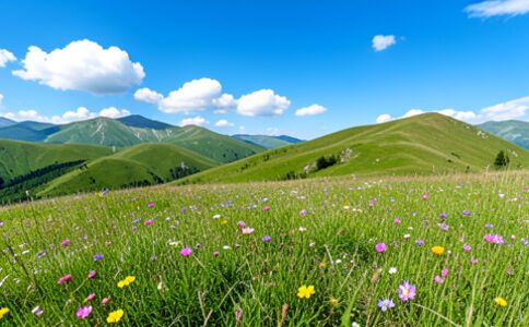 陽泉市廣佳盛貿(mào)易有限公司