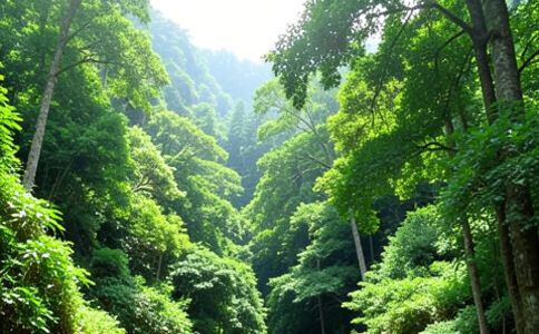 醫(yī)療系統(tǒng)集成案例