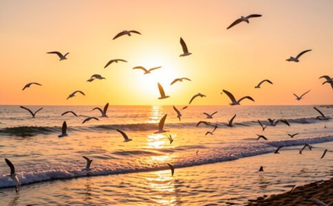 醫療系統集成案例