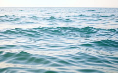 陽泉市廣佳盛貿易有限公司