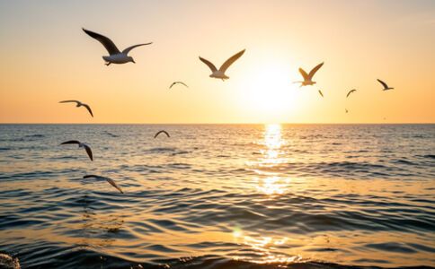 醫(yī)療系統(tǒng)集成案例