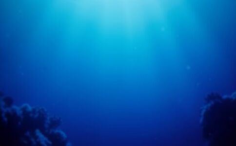 金融系統開發案例