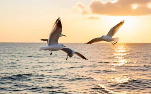 醫(yī)療系統(tǒng)集成案例