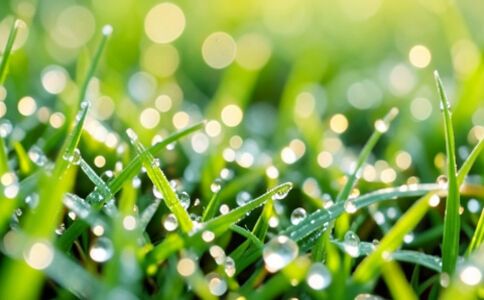 陽泉市廣佳盛貿易有限公司