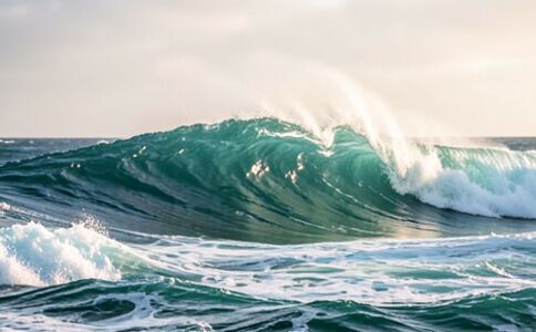 品牌形象設(shè)計