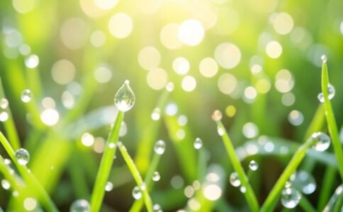 醫療系統集成案例