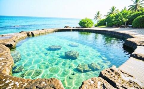 醫(yī)療健康案例