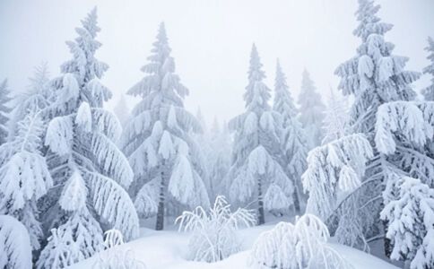 陽泉市廣佳盛貿易有限公司