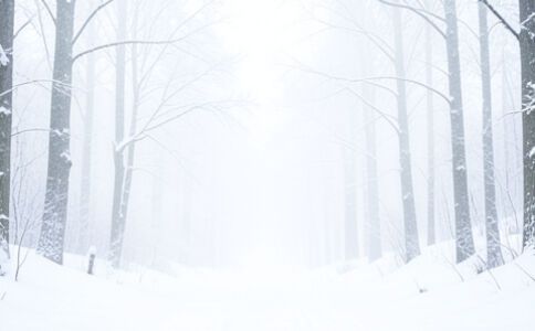 電商平臺升級案例