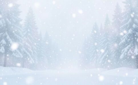 金融系統開發案例