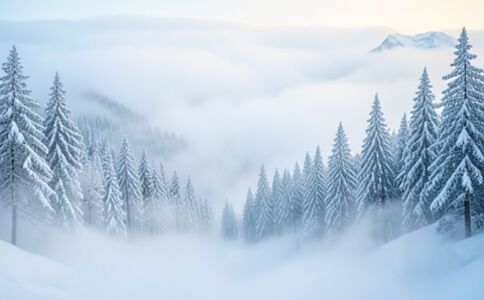 金融系統開發案例