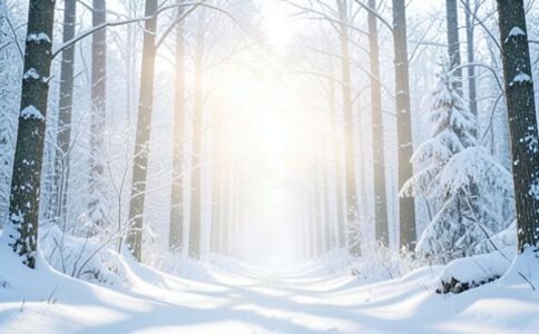 陽泉市廣佳盛貿易有限公司