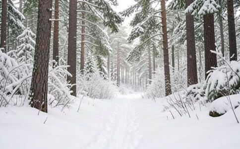 金融系統開發案例