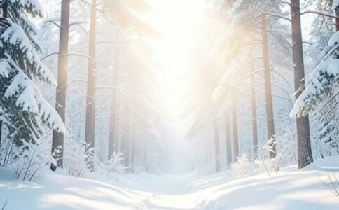 金融系統開發案例