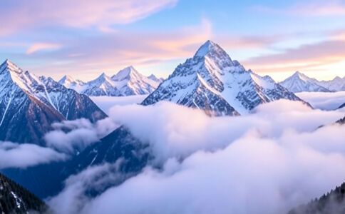 電商平臺(tái)升級(jí)案例