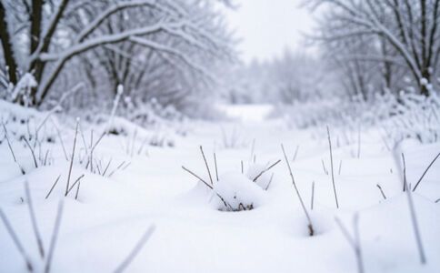 陽泉市廣佳盛貿易有限公司