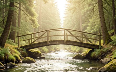 電商平臺升級案例