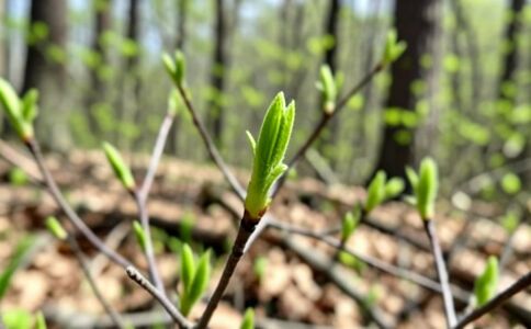 金融系統(tǒng)開發(fā)案例