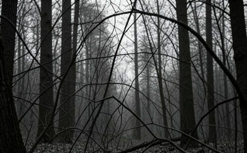 金融系統開發案例