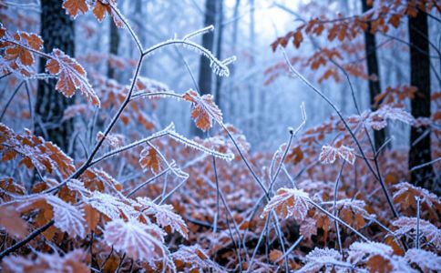 金融系統(tǒng)開(kāi)發(fā)案例