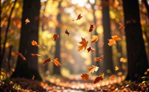 醫療系統集成案例