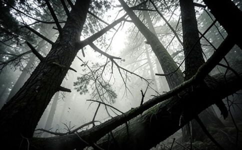 電商平臺升級案例