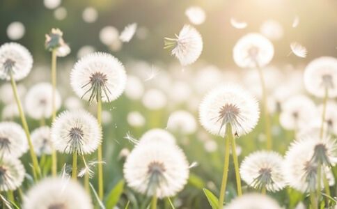 電商平臺升級案例