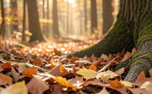 金融系統(tǒng)開發(fā)案例