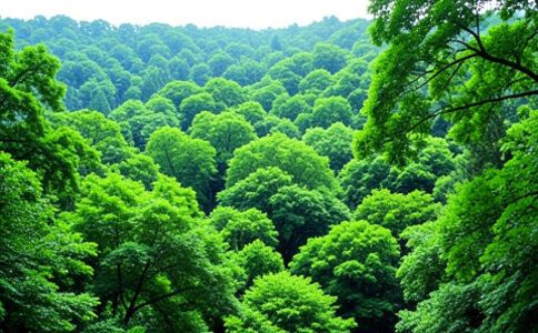 品牌形象設(shè)計(jì)