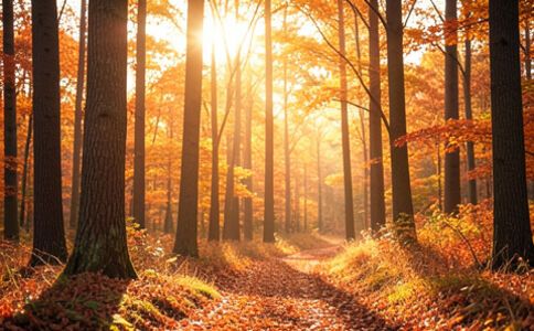 陽泉市廣佳盛貿易有限公司